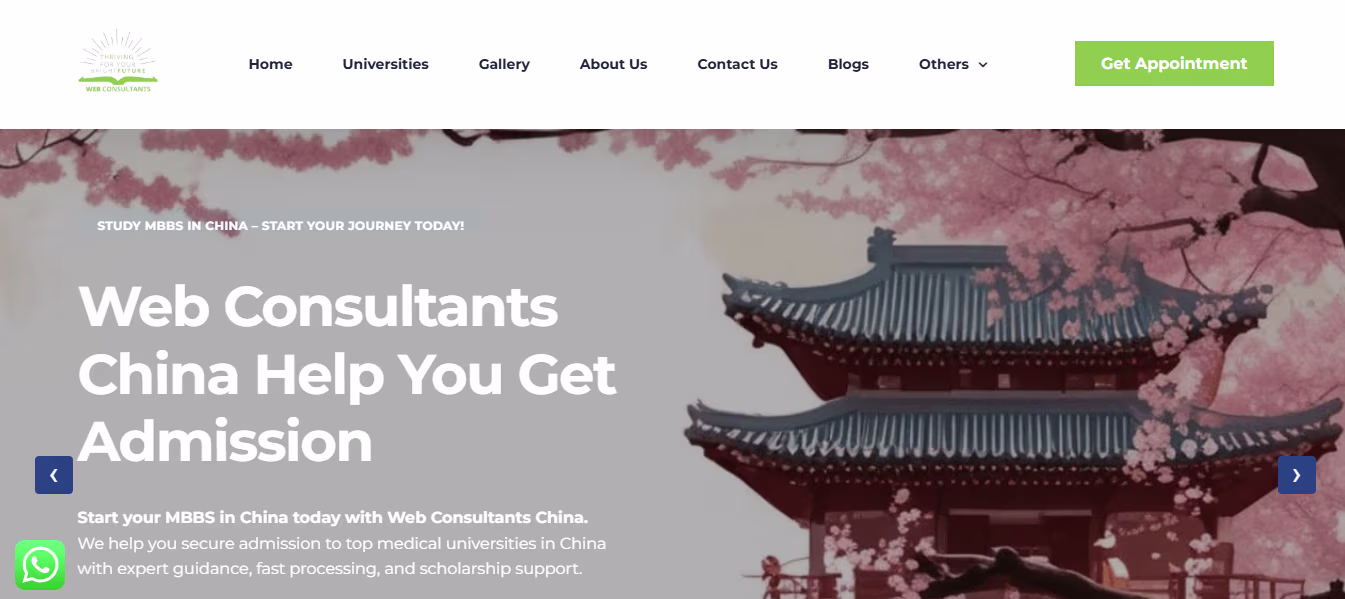 Web Consultants China